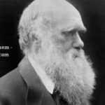 The Darwin Returns – A Poem