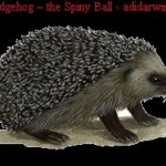 The Hedgehog – the Spiny Ball!!